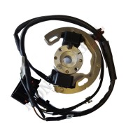 Ignition Selettra Mini 60cc (from 2010 onwards), mondokart