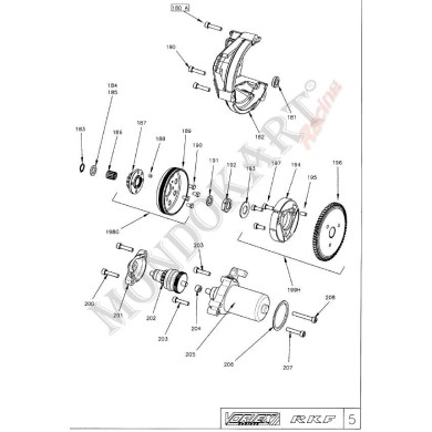 El Empuje Piñón Z10 12.1x16.5x4 Vortex KF RKF, MONDOKART, kart