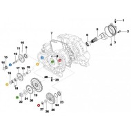 OR 2200 Lege MF1 MF2 TM KF OK OKJ, MONDOKART, kart, go kart