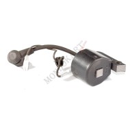 Coil BlueBird Birel Easykart 50cc, mondokart, kart, kart store