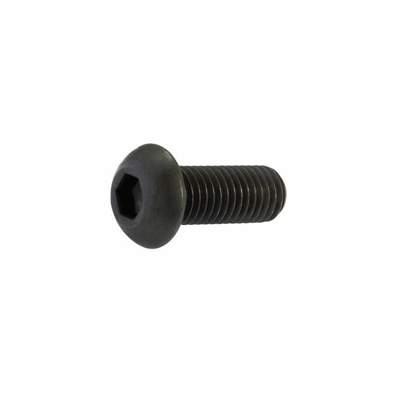 Tornillo EN ISO 7380 TBCE 10,9 BirelArt, MONDOKART, kart, go
