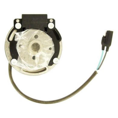 Allumage Stator Rotor Complet Screamer (1-2) KZ, MONDOKART