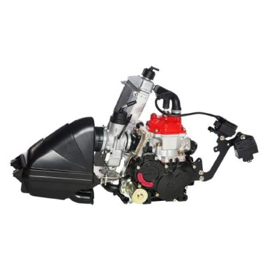 Motore Rotax MINI MAX EVO, MONDOKART, kart, go kart, karting
