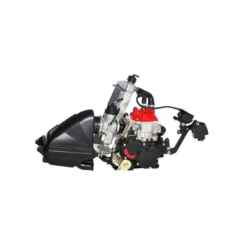 Motore Rotax MINI MAX EVO, MONDOKART, kart, go kart, karting