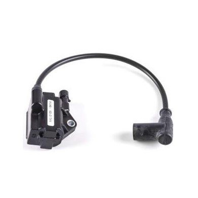 Bobina Rotax Evo, MONDOKART, kart, go kart, karting, ricambi