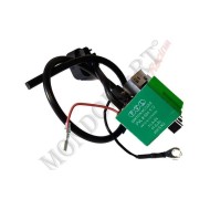 Centralina / Bobina Verde Vortex DVS (con limitatore)