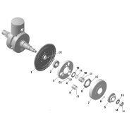 Cage à rouleaux 15x19x17 EVO originale Pinion Rotax, MONDOKART