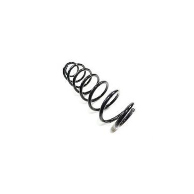 Molla elicoidale 17 mm per pompa freno Intrepid R1K R2K