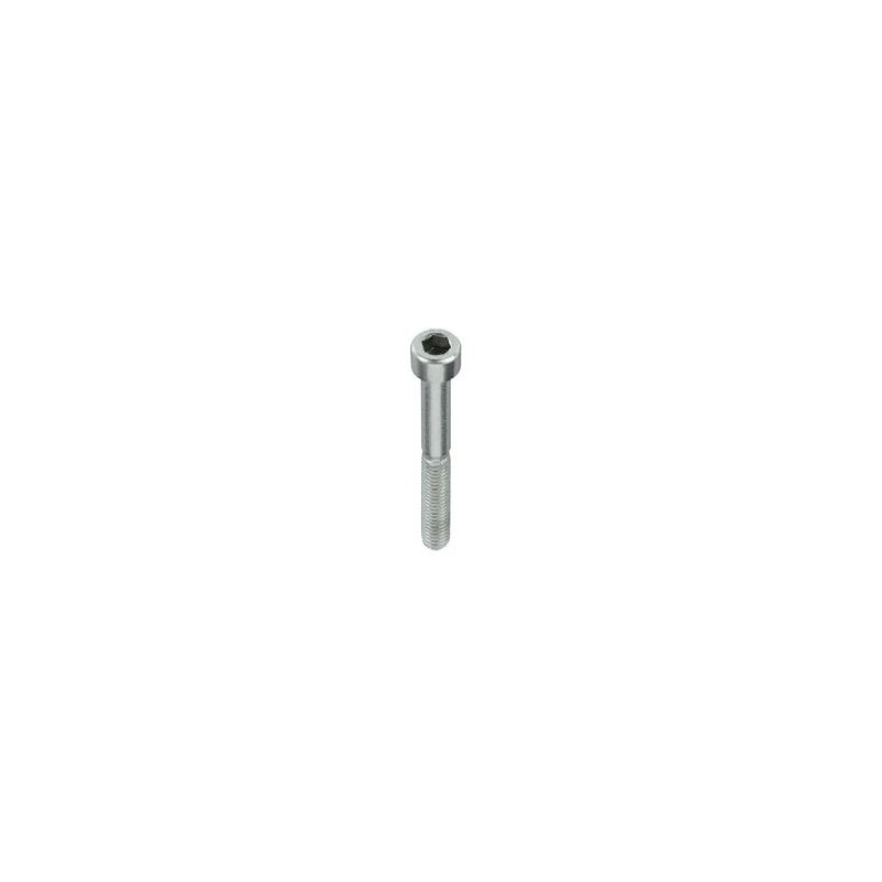 Tornillo M5 x 55 Pastilla Freno V05 V11 CRG, MONDOKART, kart