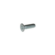 Vite TPSCEI testa svasata 3x8 mm pinza anteriore BSS KZ