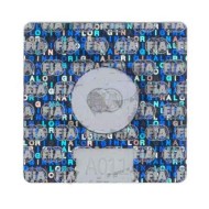 Adhesivo Eje CIK FIA holográfica BIRELART, MONDOKART, kart, go