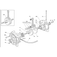 Semialbero Lato Accensione Iame 60cc X30 Waterswift, MONDOKART