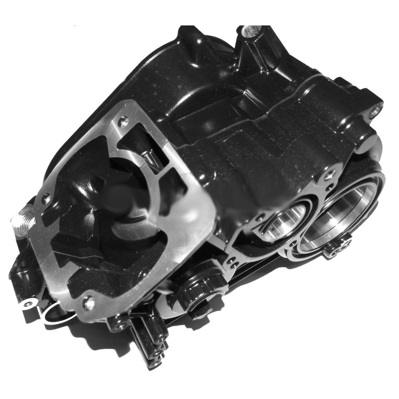 Komplette Crankcase Rotax DD2, MONDOKART, kart, go kart