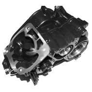 Komplette Crankcase Rotax DD2, MONDOKART, kart, go kart