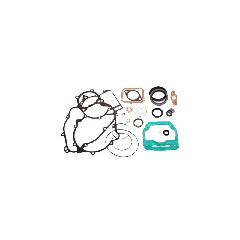Gasket Set Kit complete Rotax DD2, mondokart, kart, kart store