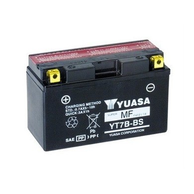 Batterie Standard Rotax Evo DD2, MONDOKART, kart, go kart