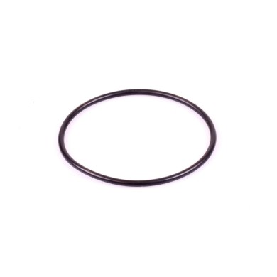 Oring Filtro Aria Spugna Rotax Evo DD2, MONDOKART, kart, go