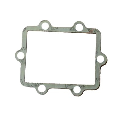 Guarnizione collettore carburatore Iame Screamer (1-2) KZ
