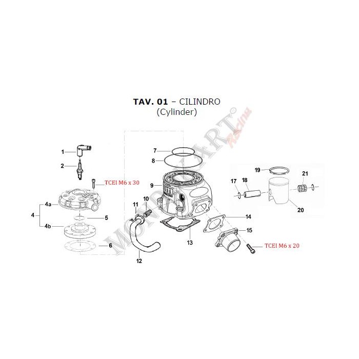 Cilindro Preparado RACING TM KZ R1, MONDOKART, kart, go kart