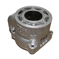 Cilindro completo PREPARATO TM KZ R1, MONDOKART, kart, go kart