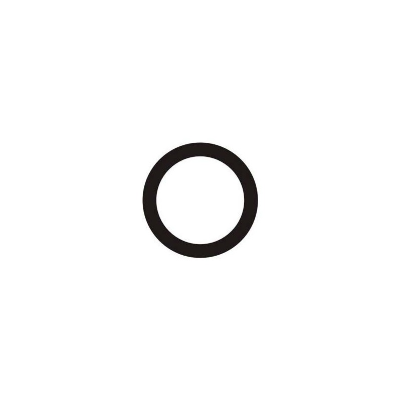 Grommet 27mm Piston Etrier Frein AP-RACE 01 Parolin, MONDOKART