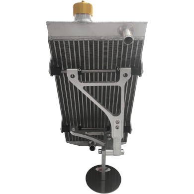 Komplette Heizkörper 400x200 GOLD ROK, MONDOKART, kart, go