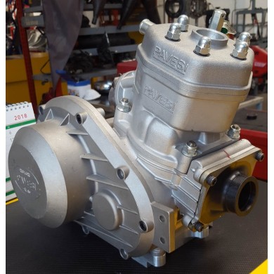 Intake manifold Pavesi, mondokart, kart, kart store, karting