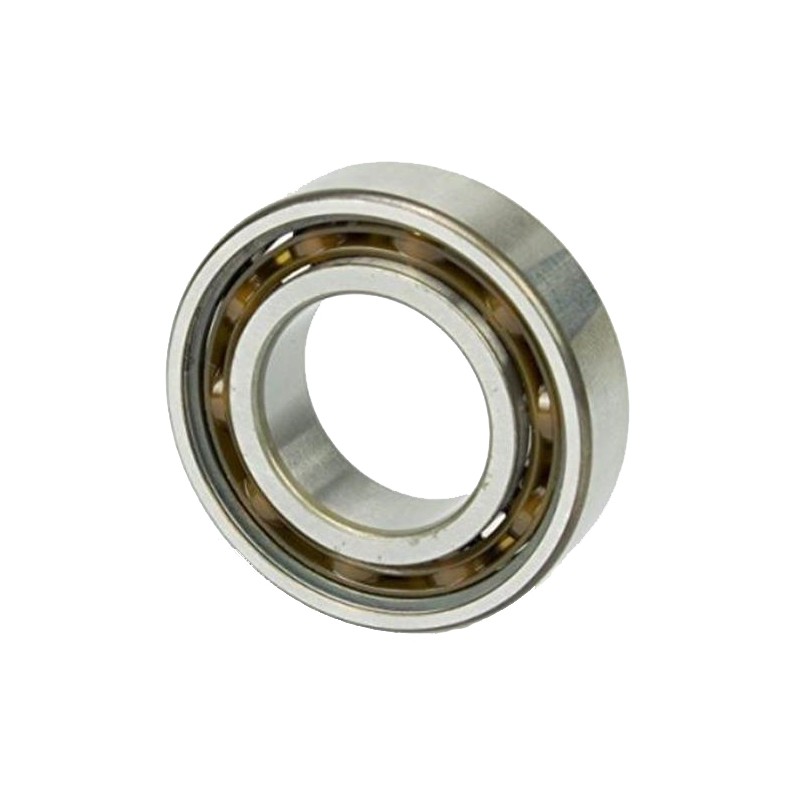 Bearing 6005 C4 (Polyamide), mondokart, kart, kart store