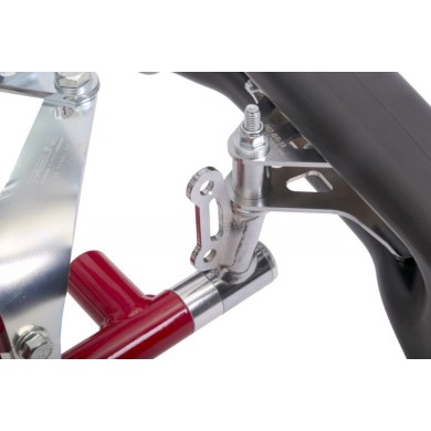 Chassis BirelArt AM29 S19 2026!