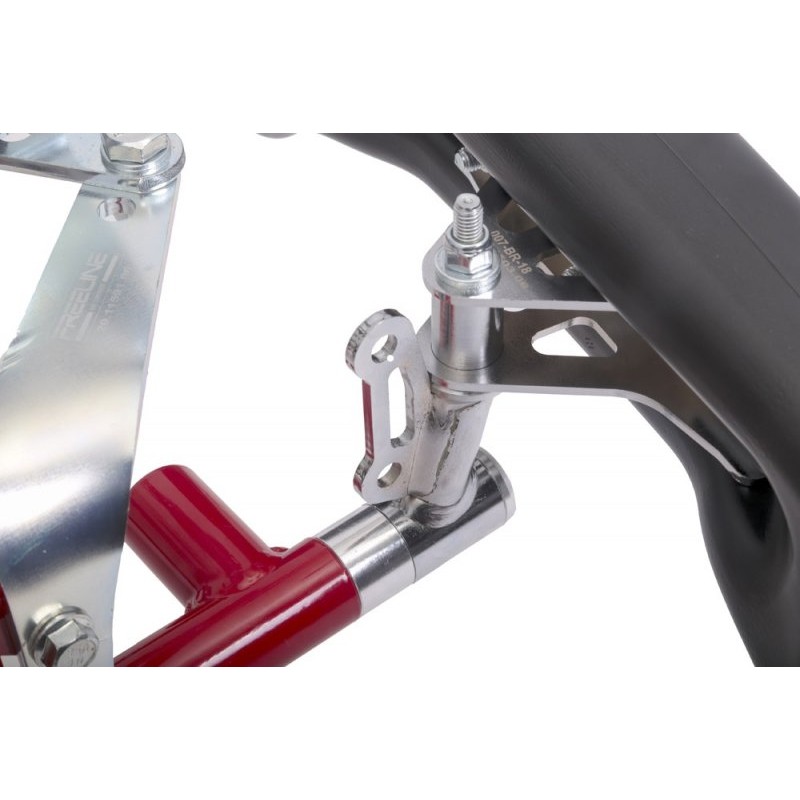 Chassis BirelArt AM29 S19 2026!