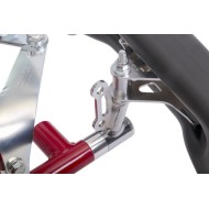 Chassis BirelArt AM29 S19 2026!