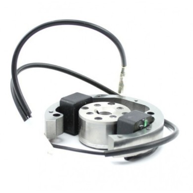 Accensione Selettra Mini 60cc ( X30 Waterswift), MONDOKART