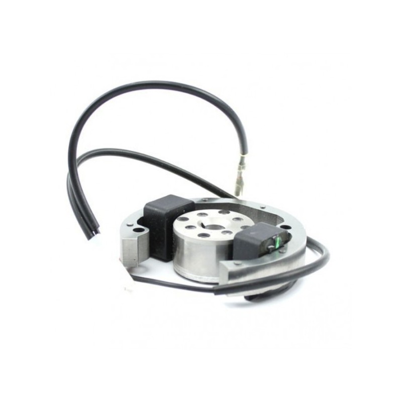 Accensione Selettra Mini 60cc ( X30 Waterswift), MONDOKART