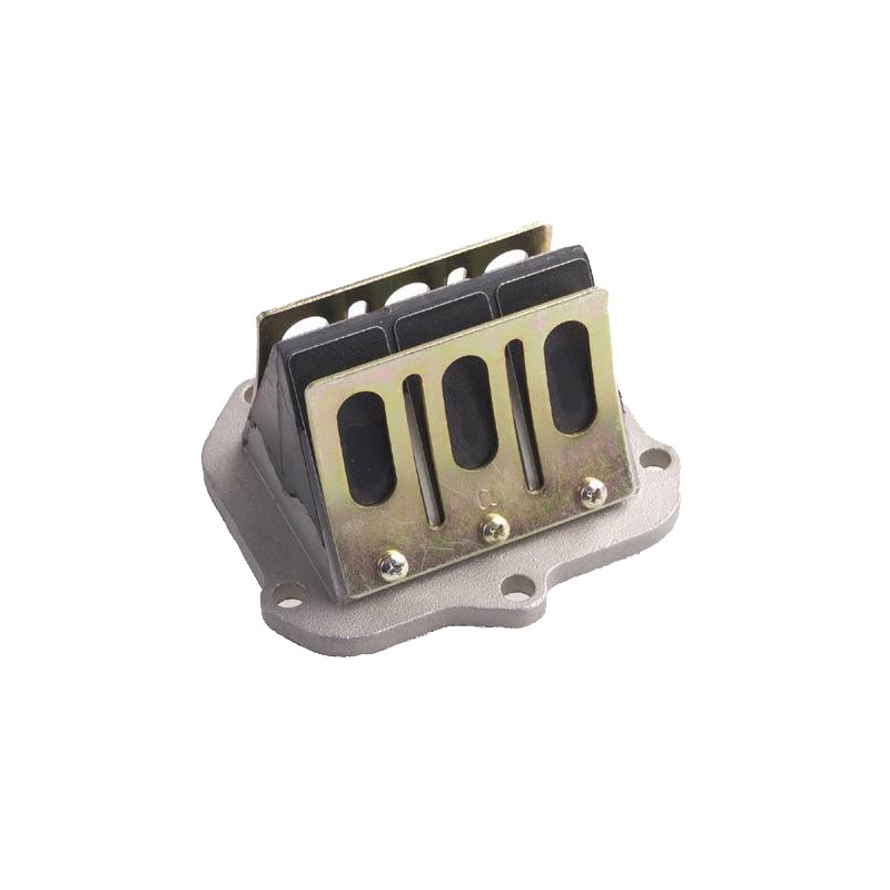 Pacco lamellare completo Originale Rotax EVO20, MONDOKART