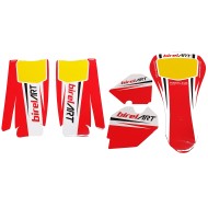 Kit Adhesivos BirelArt KZ y OK para carenados lateral KG EVO +