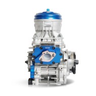 Motor IAME Parilla OK V Reedster 2026!