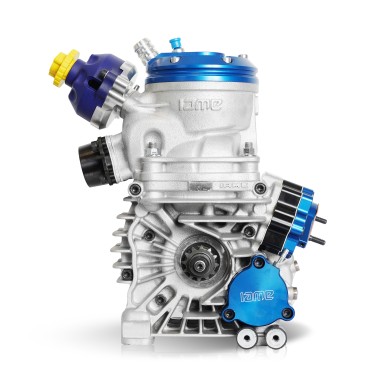 Motore Iame Parilla OK Reedster V 2026!