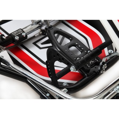 Chassis Charles Leclerc Kart CL BirelArt CL 30-S19 - DD - OK