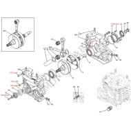 Kurbelwelle komplette Motor Iame OK (Reedster V), MONDOKART