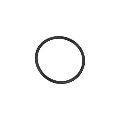 Oring Upper Federkappe Hauptbremszylinder ABA V13 CRG