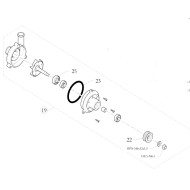 Wasserpumpe Freeline - Verzahnte, MONDOKART, kart, go kart