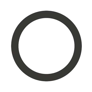 Oring 31,42X2,62 OR032 Pinza Freno Posteriore AP-RACE -01- -06-