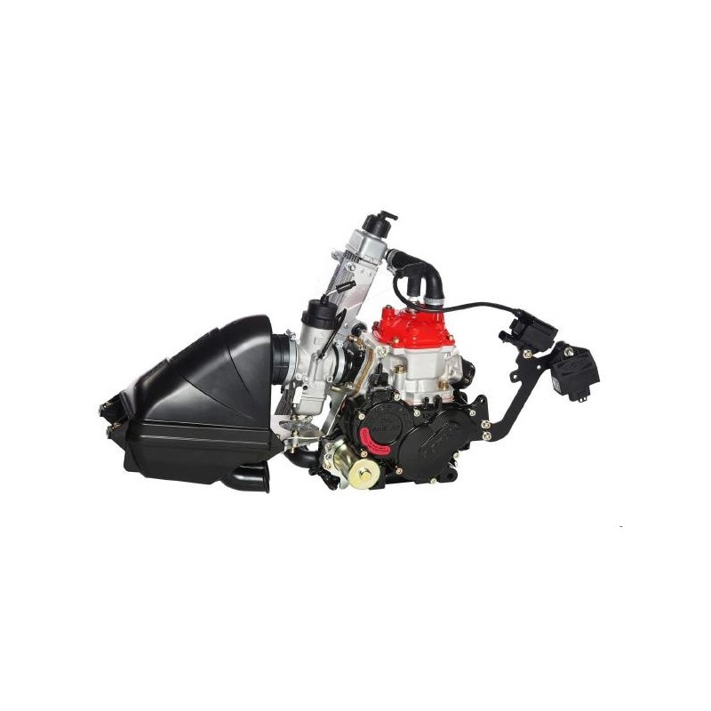 Motor Rotax Micro MAX EVO, MONDOKART, kart, go kart, karting