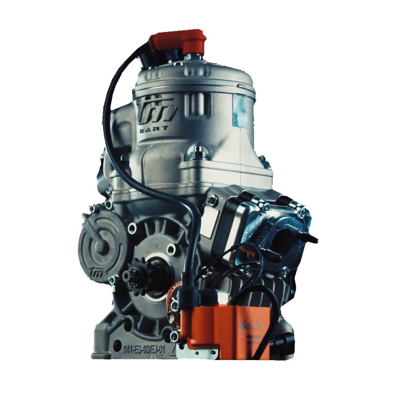 Motor TM OK N (OKN) 125cc, MONDOKART, kart, go kart, karting