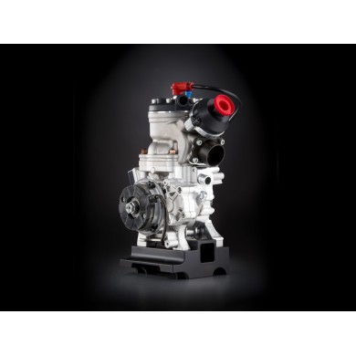 Modena ME-K (OK Senior) 125cc - 2026!!