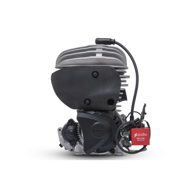 Moteur Vortex MINI VTM (FIA Karting), MONDOKART, kart, go kart