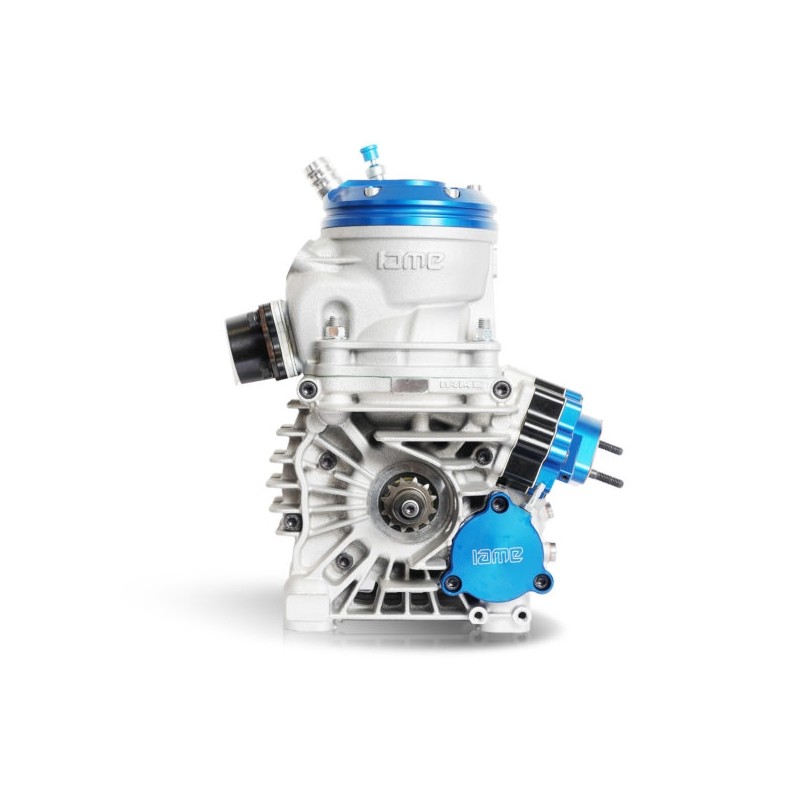 Motor IAME Parilla OK-N V Reedster 2026!