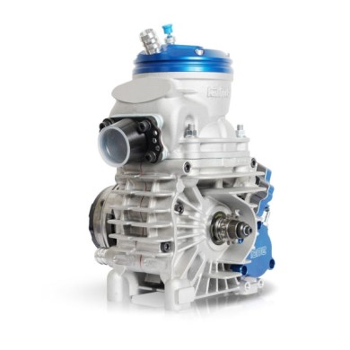 Motore Iame Parilla OK-N Reedster V 2026!