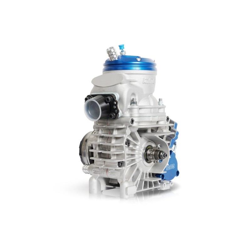 Motor IAME Parilla OK-N V Reedster 2026!