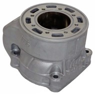 Cilindro Completo PREPARATO TM KZ R2, MONDOKART, kart, go kart